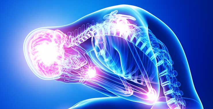 Nervous system & Anxiety Disorders